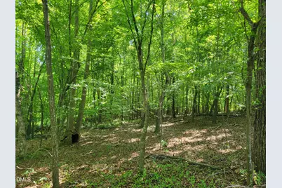0 Hicks Farm Road, Staley, NC 27355 - Photo 11
