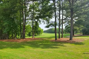 300 Olde Liberty Dr, Youngsville, NC 27596 - Photo 17