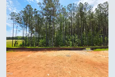 123 S Waterstone Lane, Rolesville, NC 27520 - Photo 11