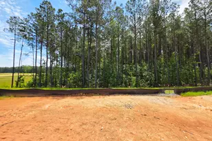 123 S Waterstone Ln, Wilsons Mills, NC 27520 - Photo 11