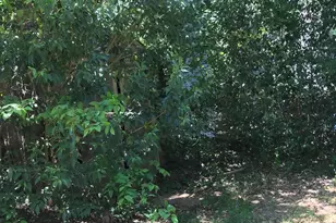 1110 Moreland Ave, Durham, NC 27707 - Photo 3