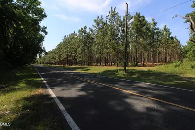 0 Johnson Pond Road, Red Springs, NC 28377 - Photo 3