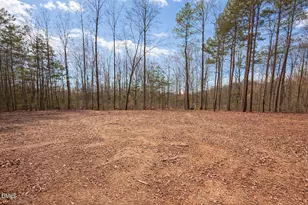 4025 Hamlets Chapel Rd, Pittsboro, NC 27312 - Photo 23