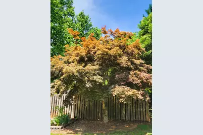 607 E Butler Avenue, Liberty, NC 27298 - Photo 11
