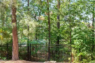 1105 Neighborly Wy, Morrisville, NC 27560 - Photo 45