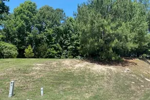 714 Bann River Ct, Rolesville, NC 27571 - Photo 57