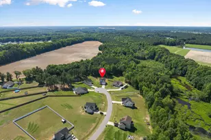 546 Brodie Rose Landing Way, Smithfield, NC 27577 - Photo 29