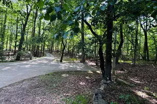 405 Lookout Point, Rougemont, NC 27572 - Photo 49