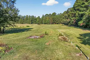 350 Grantham School Rd, Goldsboro, NC 27530 - Photo 41