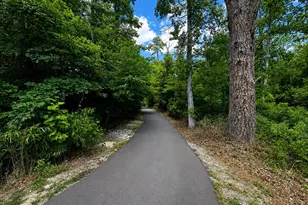 1808 Austin Ridge Pkwy, Wake Forest, NC 27587 - Photo 55