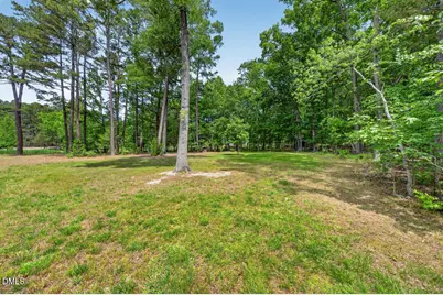 184 Fire Tower Drive, Rougemont, NC 27572 - Photo 35