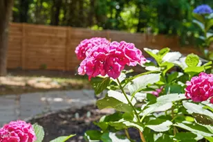 1605 Harmont Dr, Raleigh, NC 27603 - Photo 65