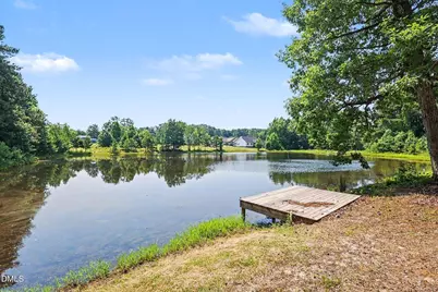 173 Clearstream Way, Angier, NC 27501 - Photo 25