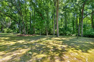 5313 Thistlebrook Ct, Raleigh, NC 27610 - Photo 41