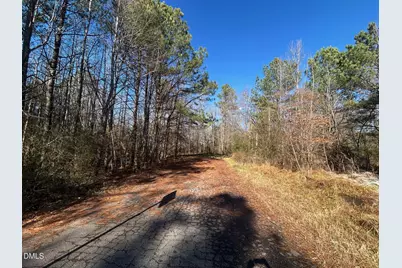 Lot 16 Dove Road, Oxford, NC 27565 - Photo 7