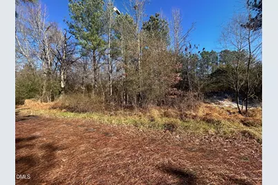 Lot 16 Dove Road, Oxford, NC 27565 - Photo 3