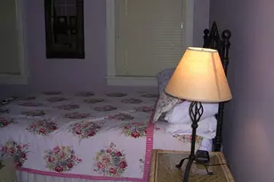 12 Henderson St, Raleigh, NC 27607 - Photo 5