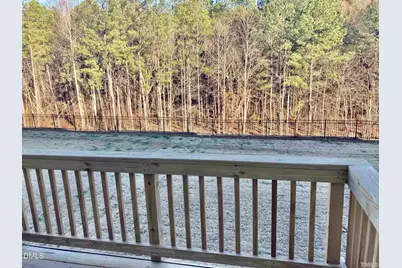 1113 Falling Rock Place, Durham, NC 27703 - Photo 17