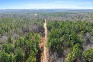 2787 Mt View Church Rd, Moncure, NC 27559 - Photo 11