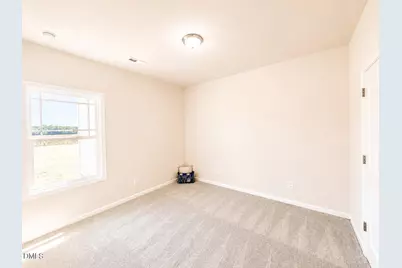 217 Huckleberry Bush Lane, Princeton, NC 27569 - Photo 15