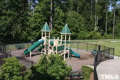 3113 Sentinel Ferry Lane, Cary, NC 27519 - Photo 13
