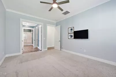 225 Rostova Way, Holly Springs, NC 27540 - Photo 13
