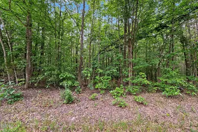 Tbd Neville Road, Chapel Hill, NC 27516 - Photo 19