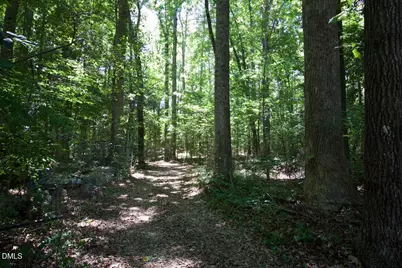 946 Cooke Road, Louisburg, NC 27549 - Photo 43