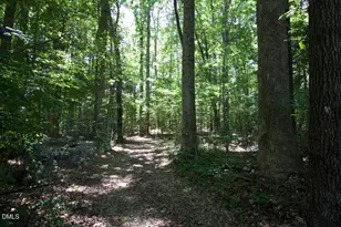 946 Cooke Rd, Louisburg, NC 27549 - Photo 43