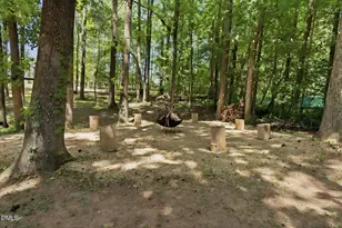 2104 Possum Trot, Wake Forest, NC 27587 - Photo 51