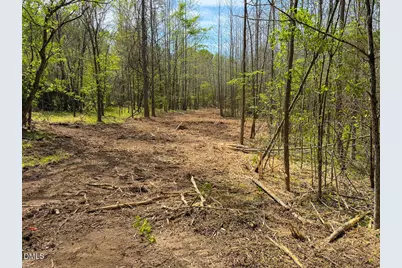 00 Pentecost Road, Cedar Grove, NC 27231 - Photo 45