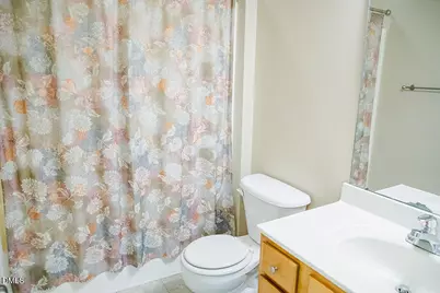 62 Red Berry Holly Lane, Hurdle Mills, NC 27541 - Photo 21