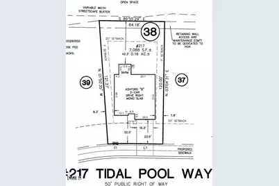 217 Tidal Pool Way, Cary, NC 27519 - Photo 5