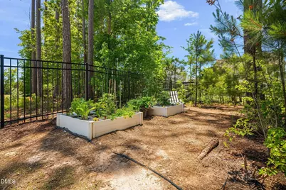 46 Marago Way, Clayton, NC 27527 - Photo 53