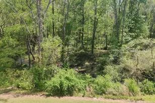 132 Woodstaff Ave, Wake Forest, NC 27587 - Photo 37
