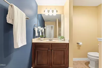 266 Meadow Beauty Drive, Apex, NC 27539 - Photo 33