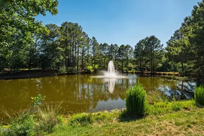 1034 Philpott Drive, Chapel Hill, NC 27517 - Photo 41