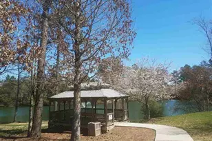 205 Shakespeare St, Morrisville, NC 27560 - Photo 59