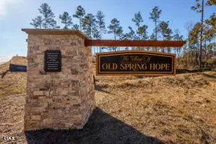 2760 River Mdw Ct, Spring Hope, NC 27882 - Photo 35