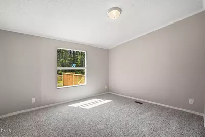 22 Thoroughfare Branch Road, Sanford, NC 27332 - Photo 27