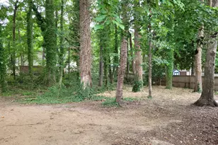 304 Holtz Ln, Cary, NC 27511 - Photo 29