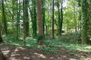 304 Holtz Ln, Cary, NC 27511 - Photo 27