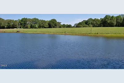9166 Tilley Road, Bullock, NC 27507 - Photo 11