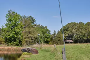 9166 Tilley Rd, Bullock, NC 27507 - Photo 17