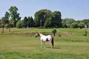 9166 Tilley Rd, Bullock, NC 27507 - Photo 31