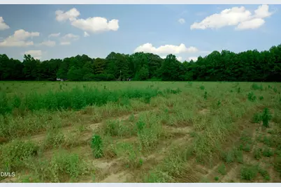 1 Bowden Road, Turkey, NC 28393 - Photo 29