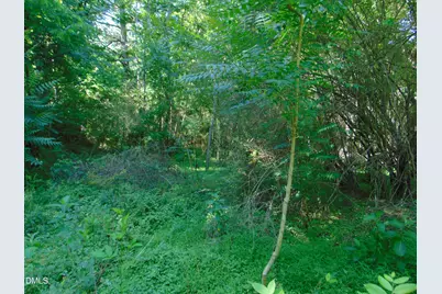 0 Big Woods Road, Macon, NC 27551 - Photo 21