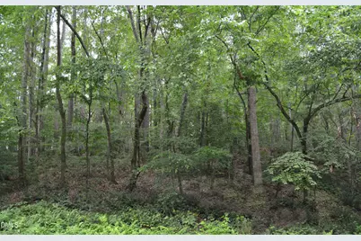 00 Tom Wright Road, Franklinton, NC 27525 - Photo 5