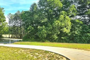 253 Fellowship Church Rd, Princeton, NC 27569 - Photo 29
