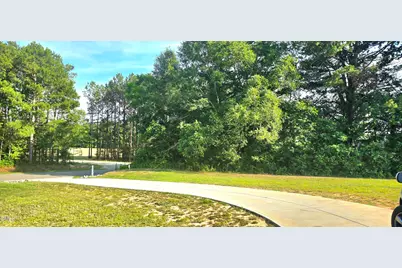 253 Fellowship Church Road, Princeton, NC 27569 - Photo 25